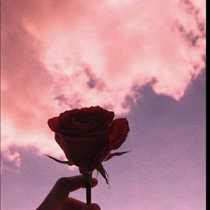 Meet your Posher, Jocelyn